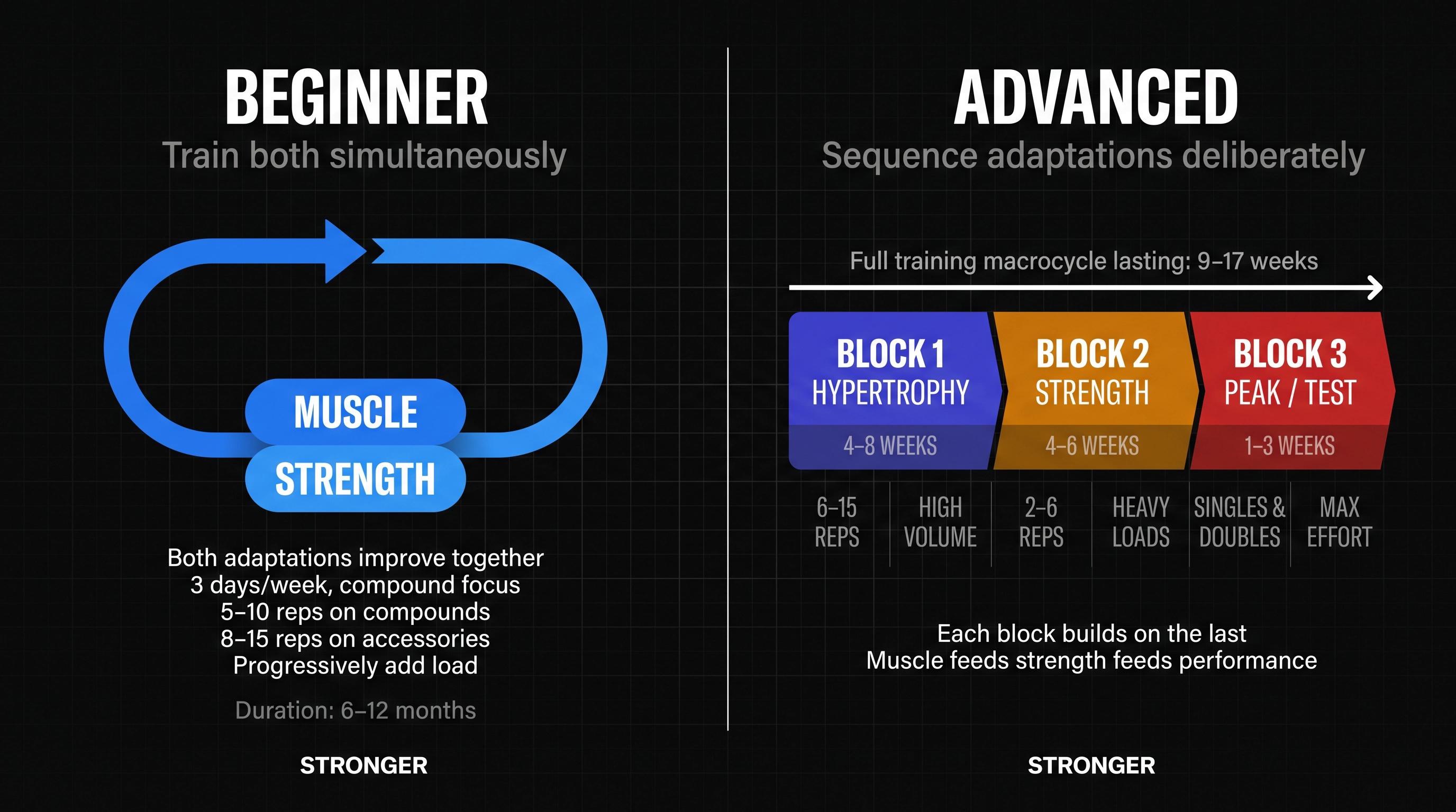 Side-by-side diagram comparing beginner simultaneous hypertrophy and strength training versus advanced sequential block periodization
