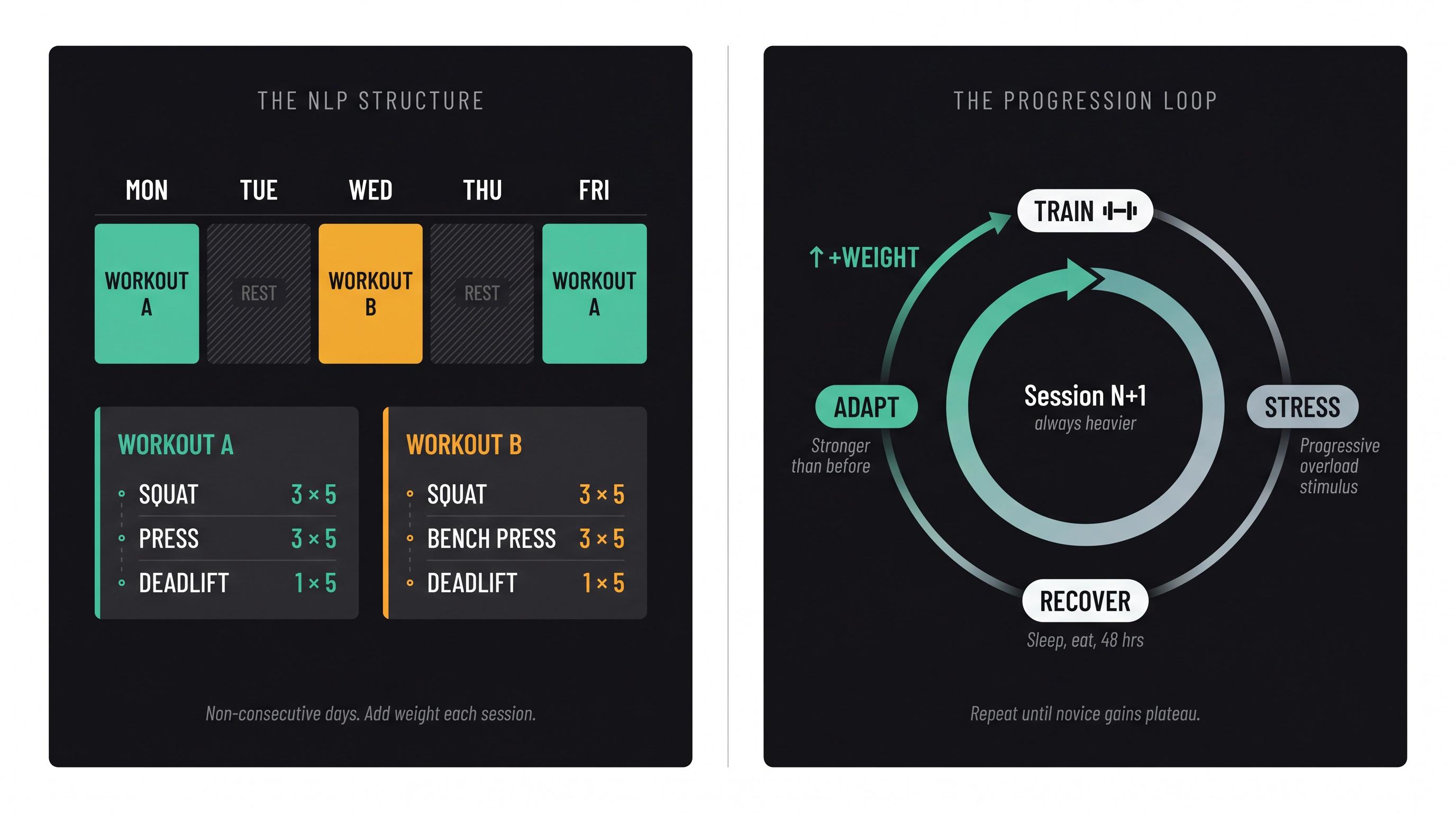 Starting Strength novice linear progression diagram showing A/B workout structure and the stimulus-recovery-adaptation loop