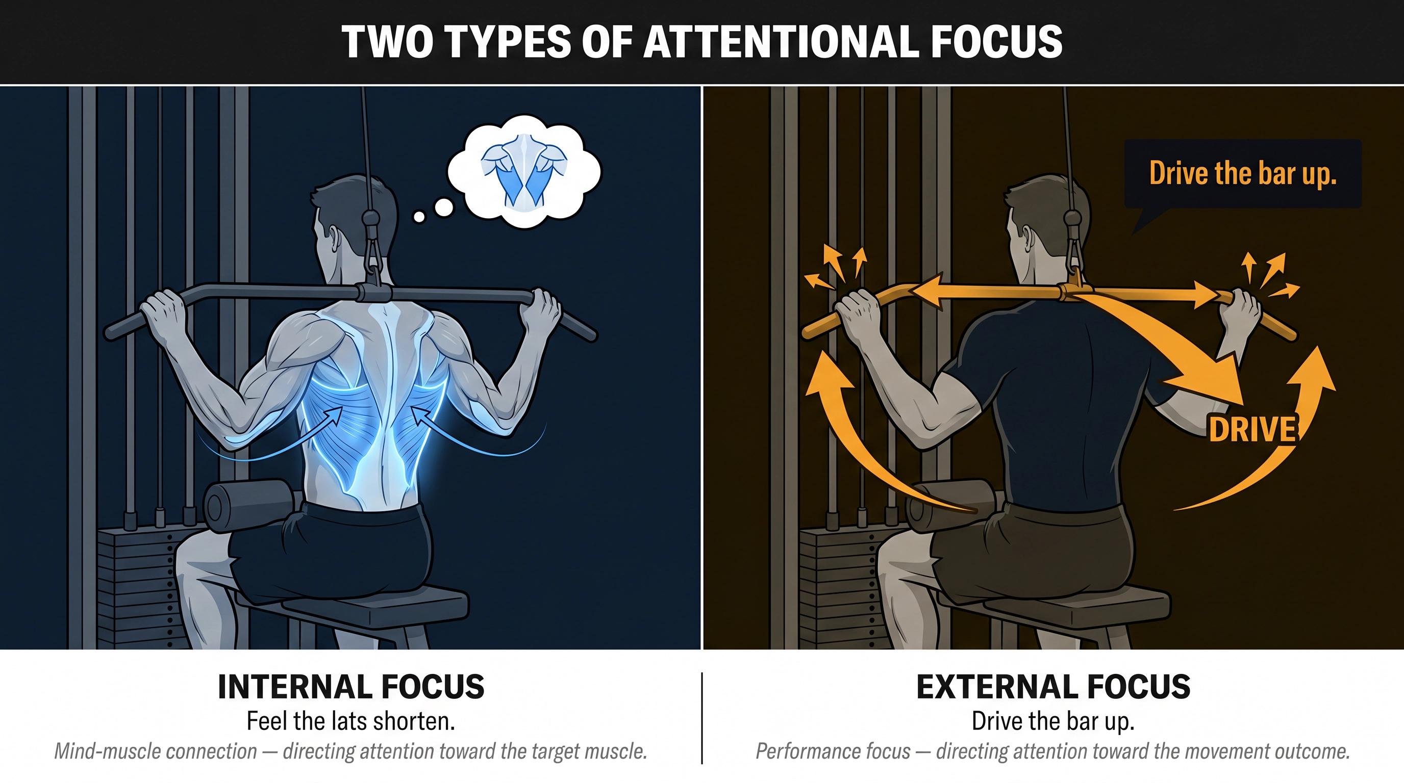 Split-panel illustration contrasting internal focus (feel the lats) vs external focus (drive the bar) during a lat pulldown