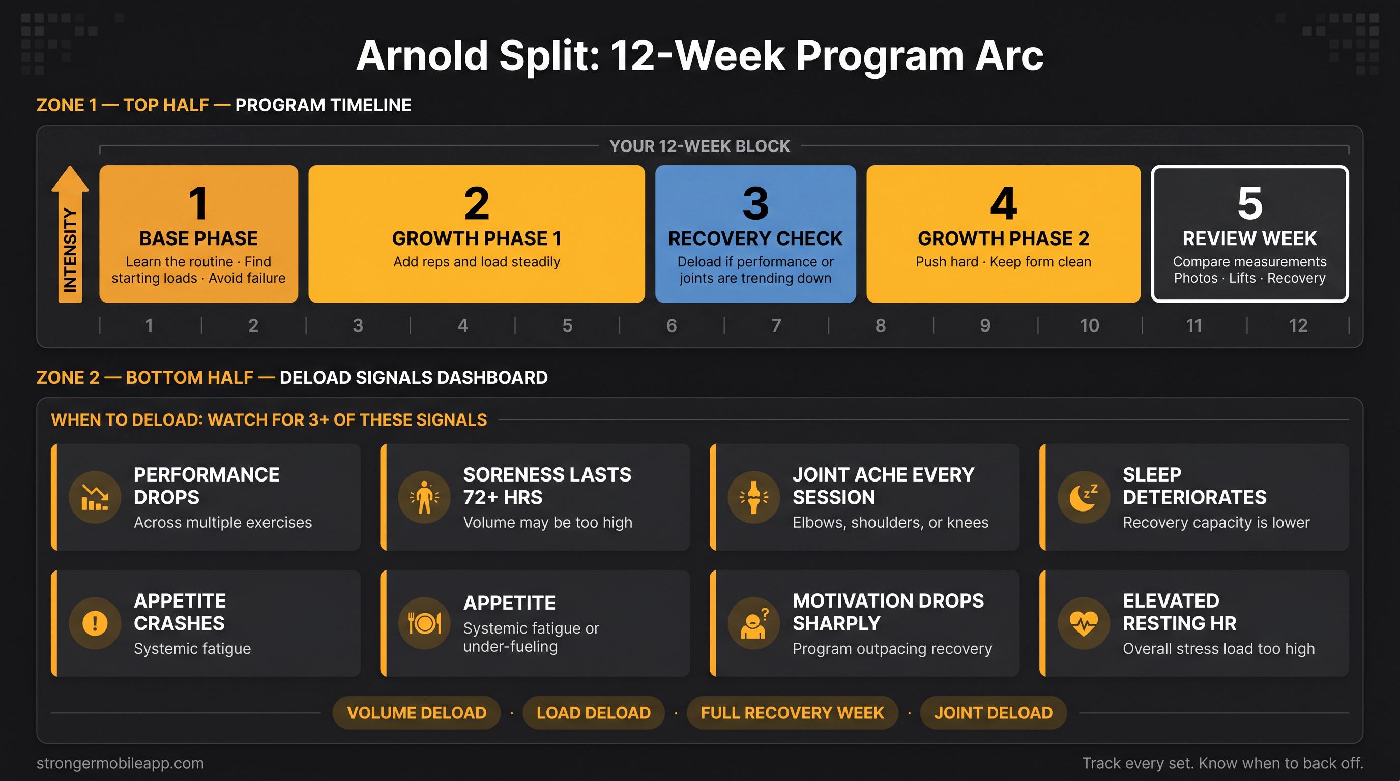 12-week Arnold Split program timeline showing 5 phases from base to review week, with deload trigger signals and recovery strategies
