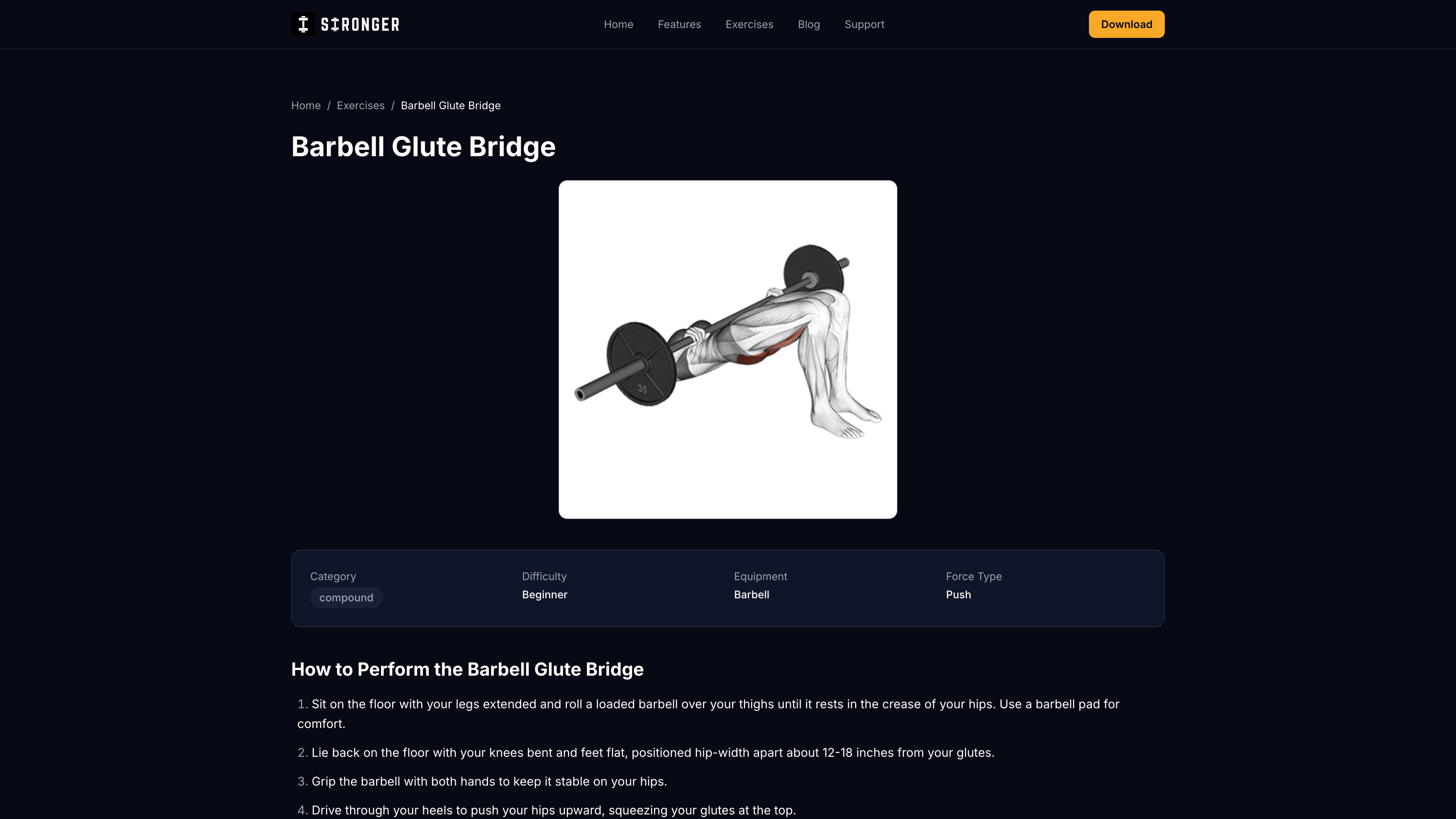 Stronger app barbell glute bridge exercise page showing muscle targeting, form cues, and recommended set/rep ranges