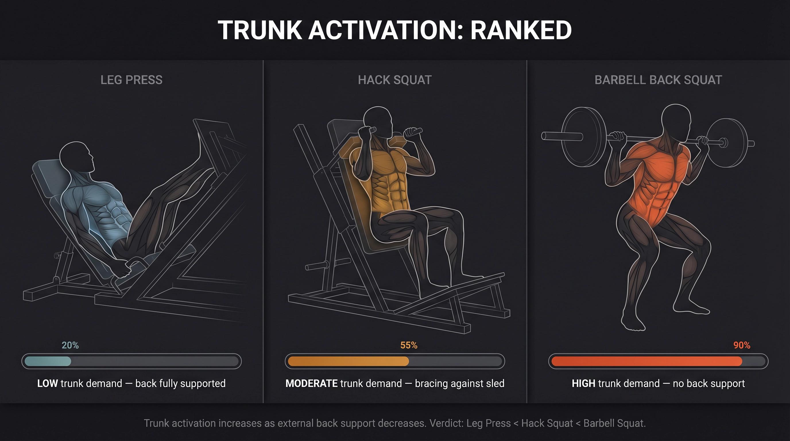 Three-panel diagram comparing trunk muscle activation across leg press, hack squat, and barbell squat with low-to-high heat overlay