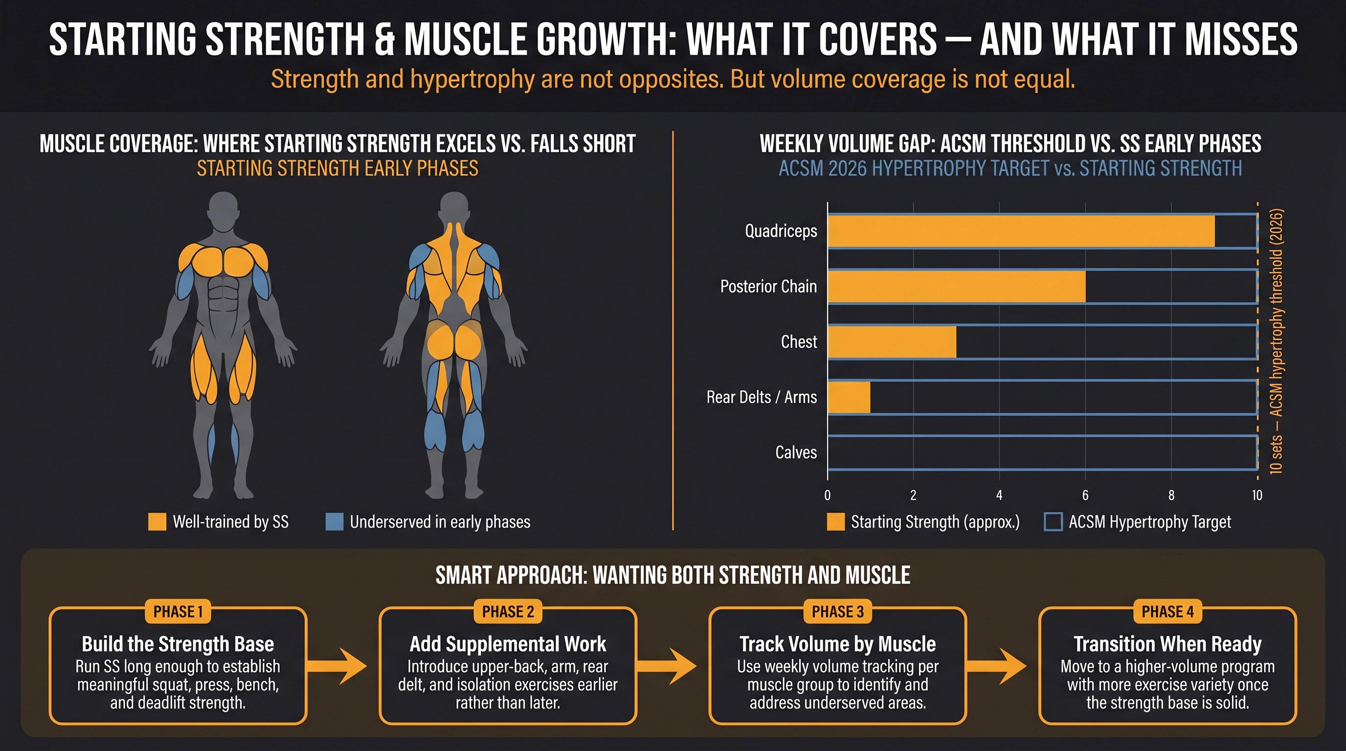 Infographic comparing Starting Strength muscle coverage vs hypertrophy volume requirements, with 4-step approach for lifters wanting both