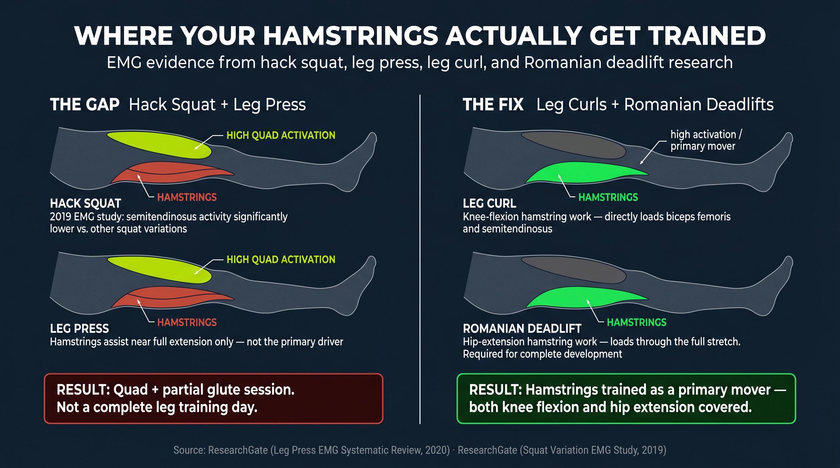 Split-panel diagram showing low hamstring activation on hack squat and leg press versus high activation on leg curls and RDLs