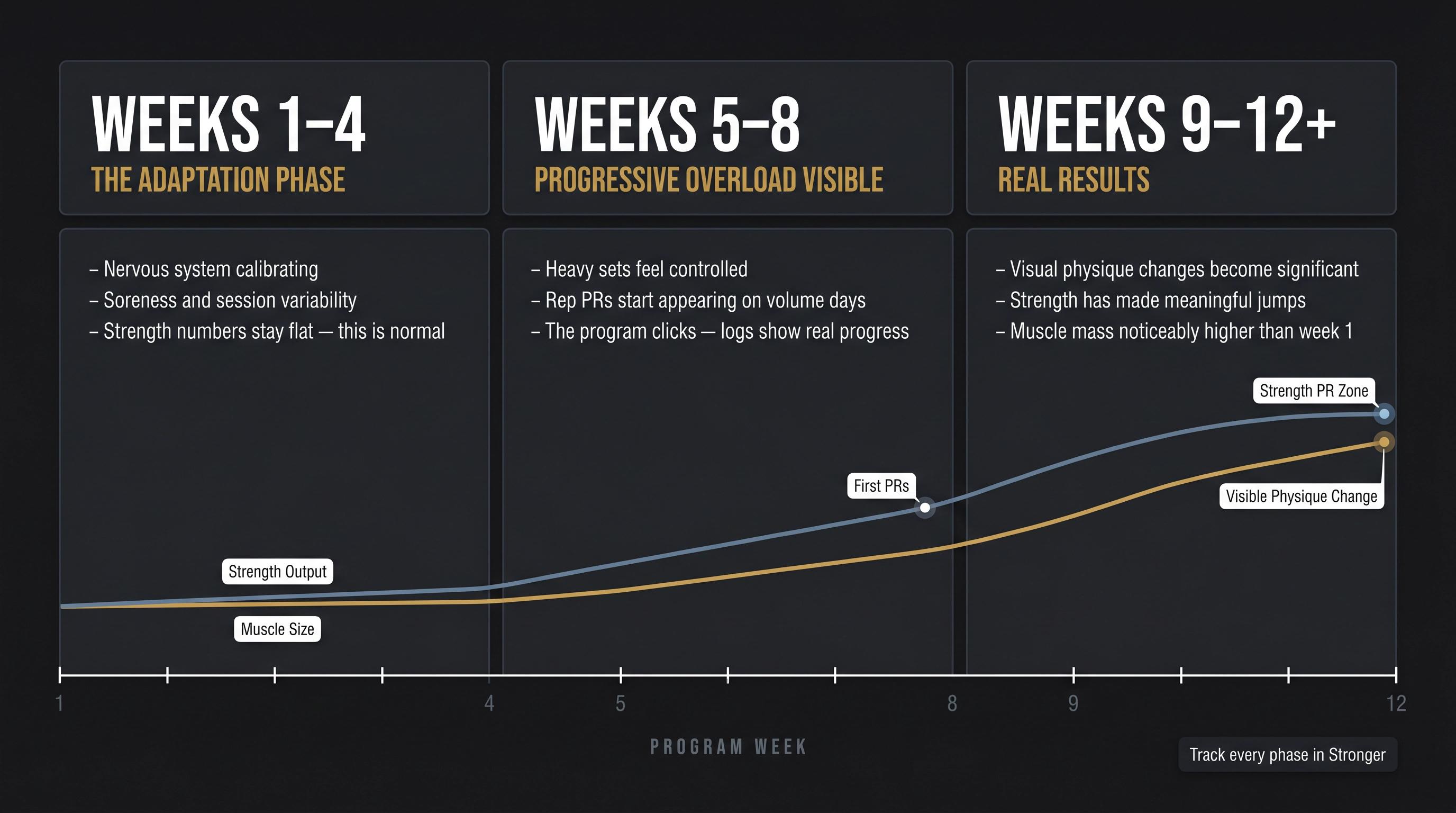 Three-phase powerbuilding progress timeline showing adaptation weeks 1-4, progressive overload weeks 5-8, and real results weeks 9-12+