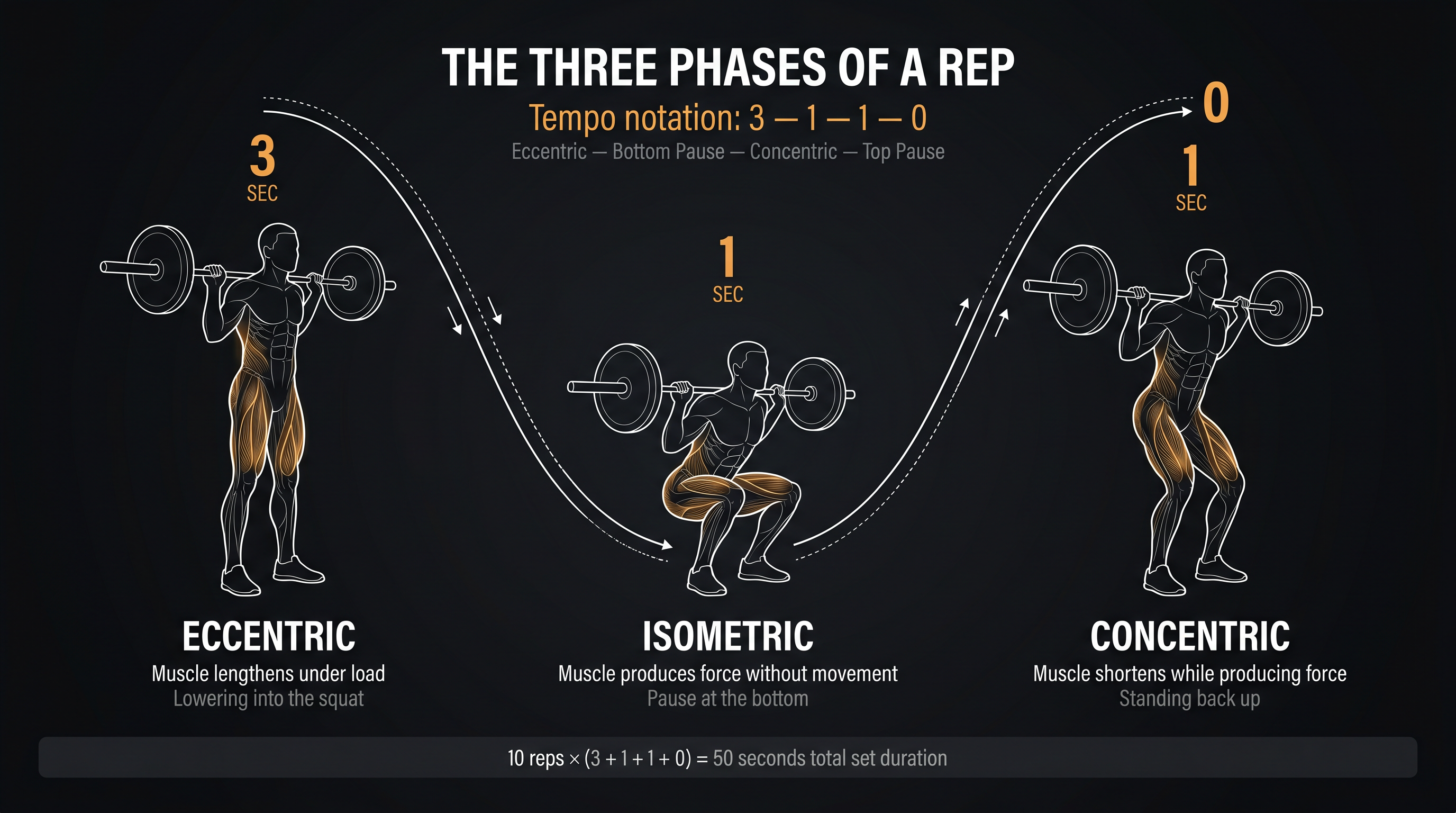 Anatomical diagram of the three phases of a squat rep — eccentric, isometric, concentric — annotated with the 3-1-1-0 tempo notation system