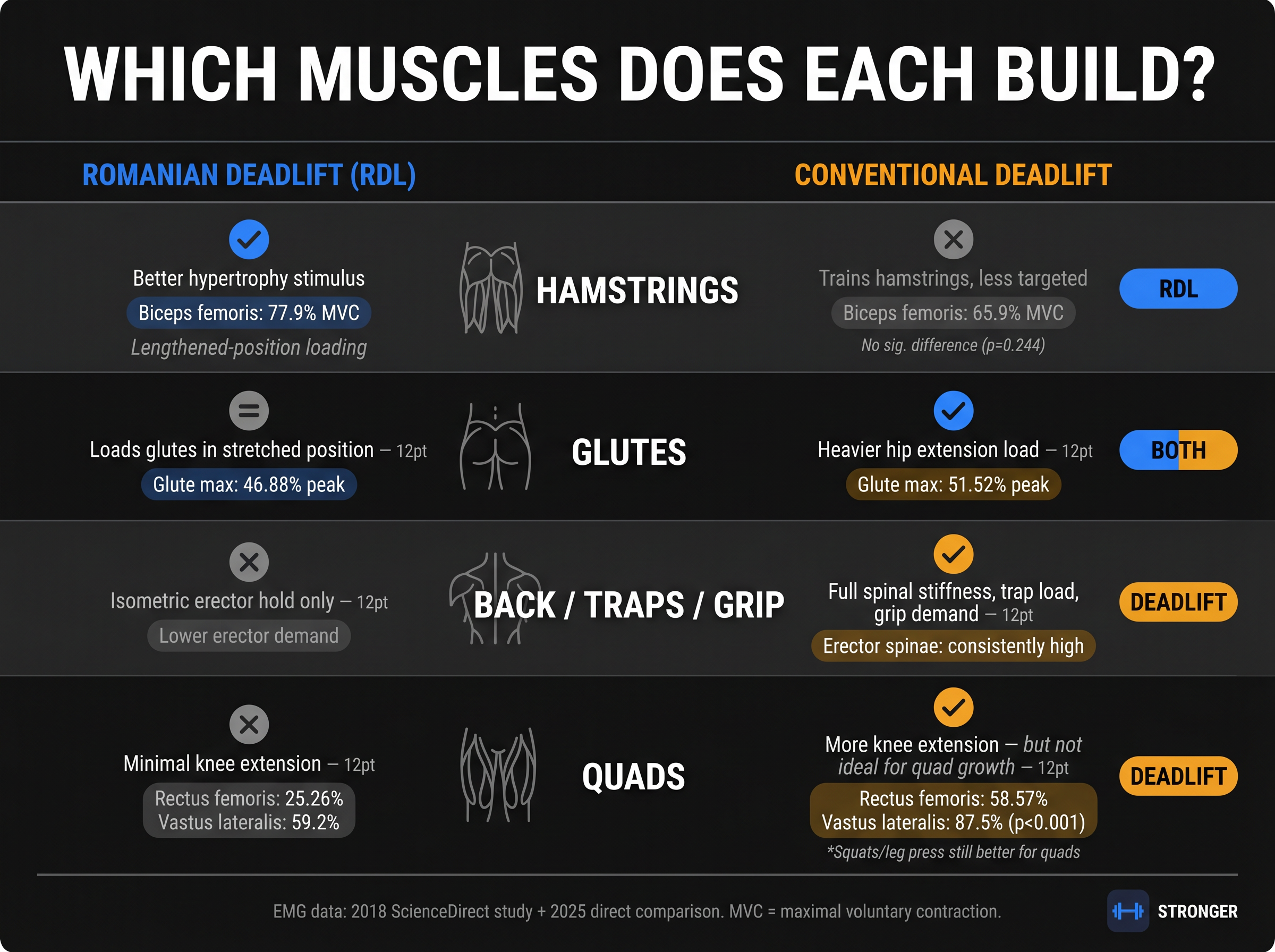 Muscle-by-muscle comparison chart: RDL vs conventional deadlift winners for hamstrings, glutes, back, and quads with EMG data
