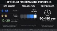 Hip Thrust Guide All Variations For Maximum Glute Growth Stronger