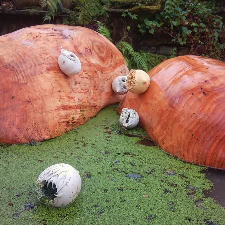 The Beginning of the Universe