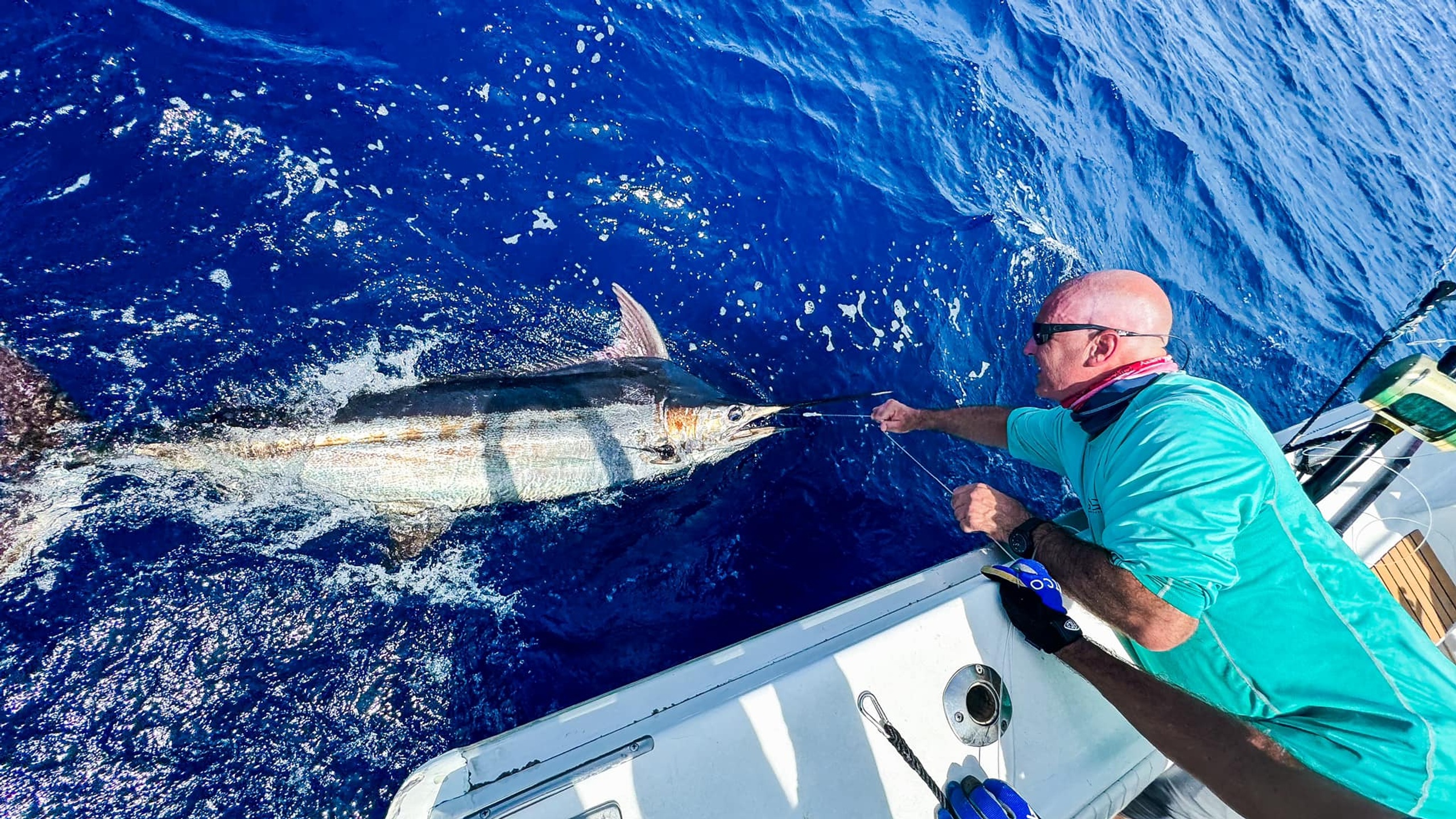 Cabo Fishing Charter for 4