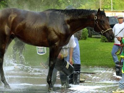 Off To The Races4
