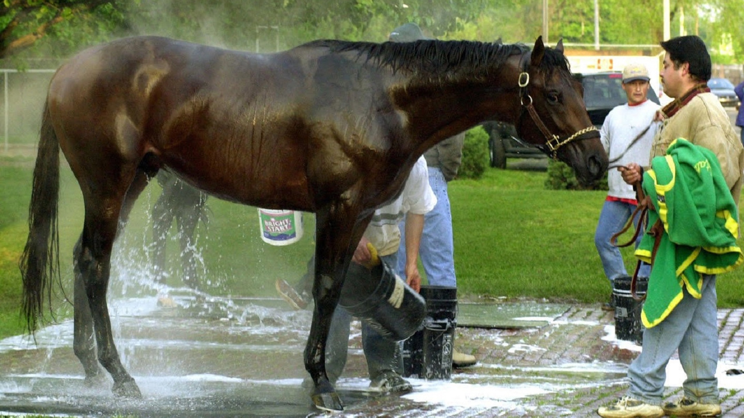 Off To The Races4