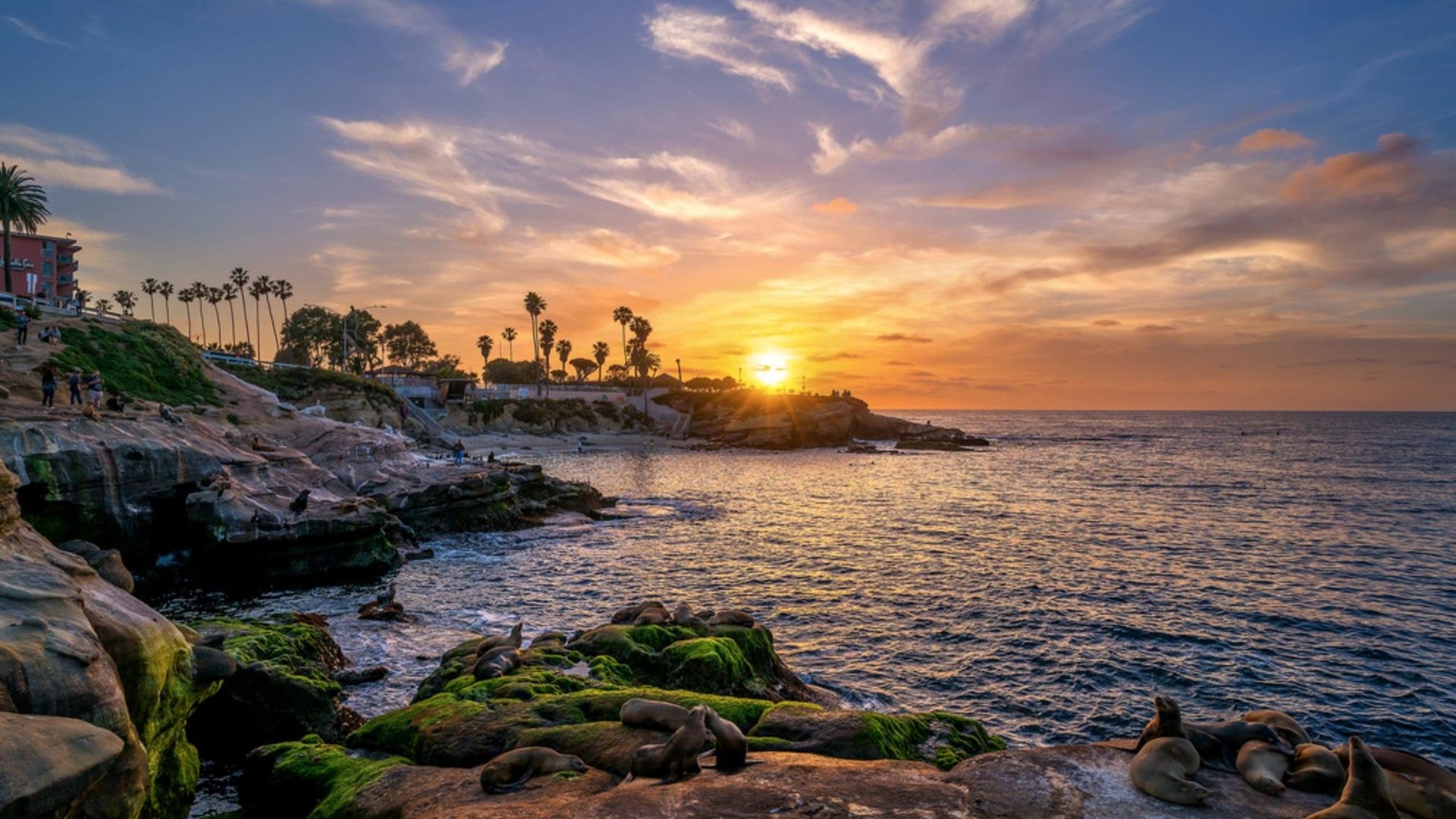 La Jolla Coastal Wellness Escape for 2