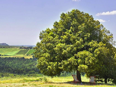 Tuscany Dreaming For 8   3