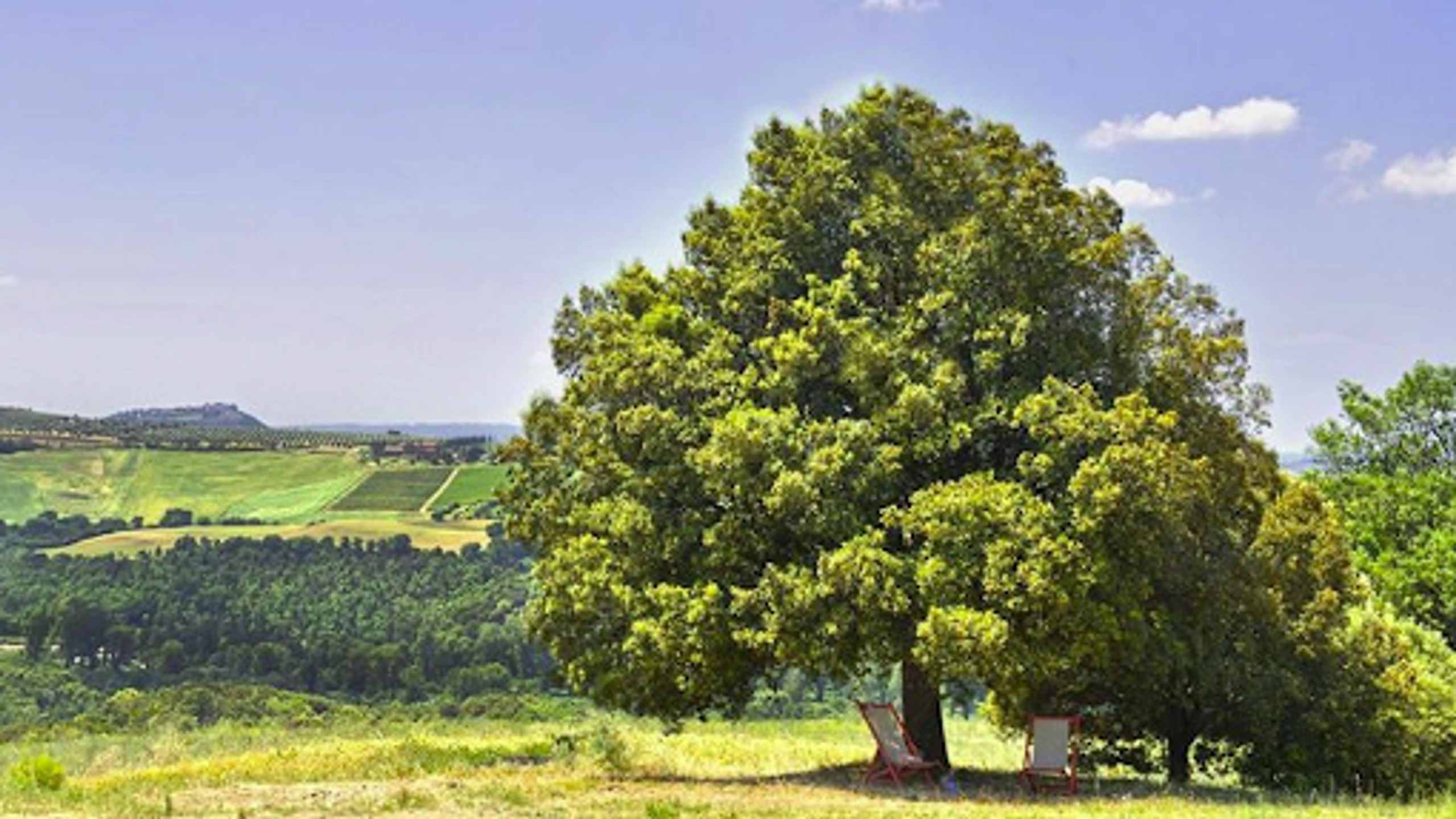Tuscany Dreaming For 8 3