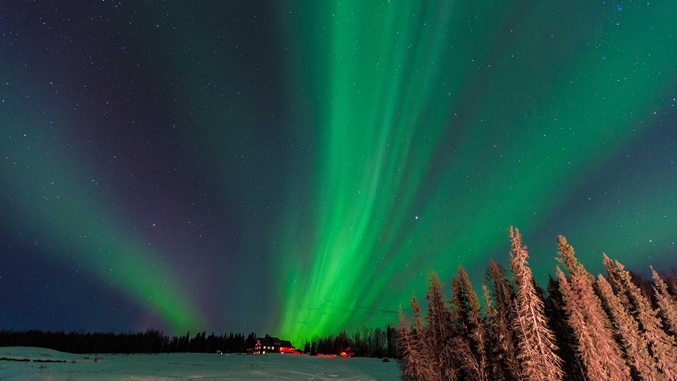 Alaska4
