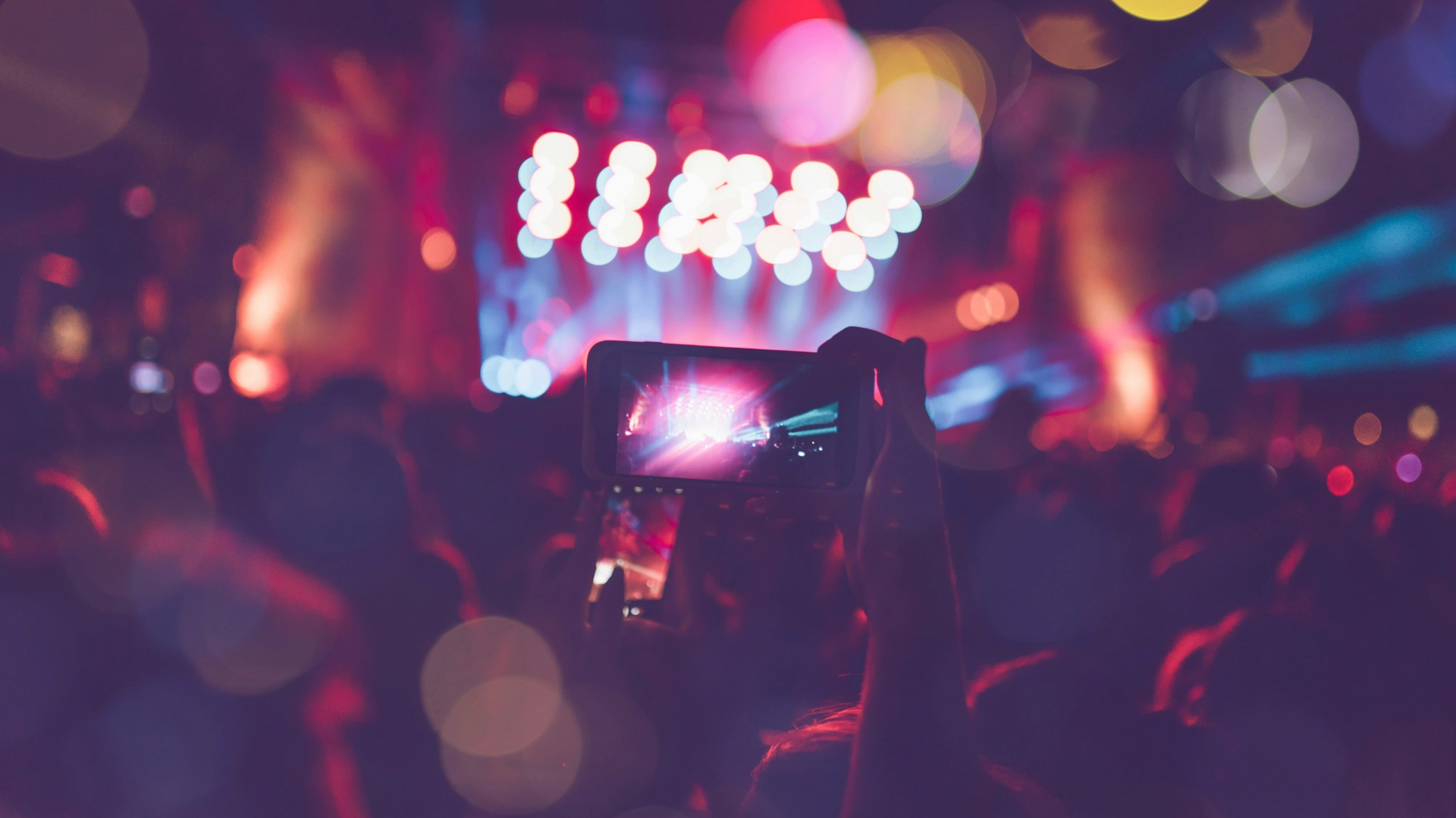 Image of a crowd at a live event