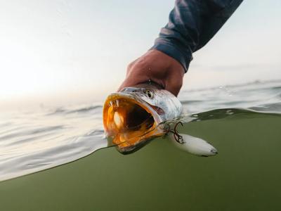 Ultimate Fishing for 24