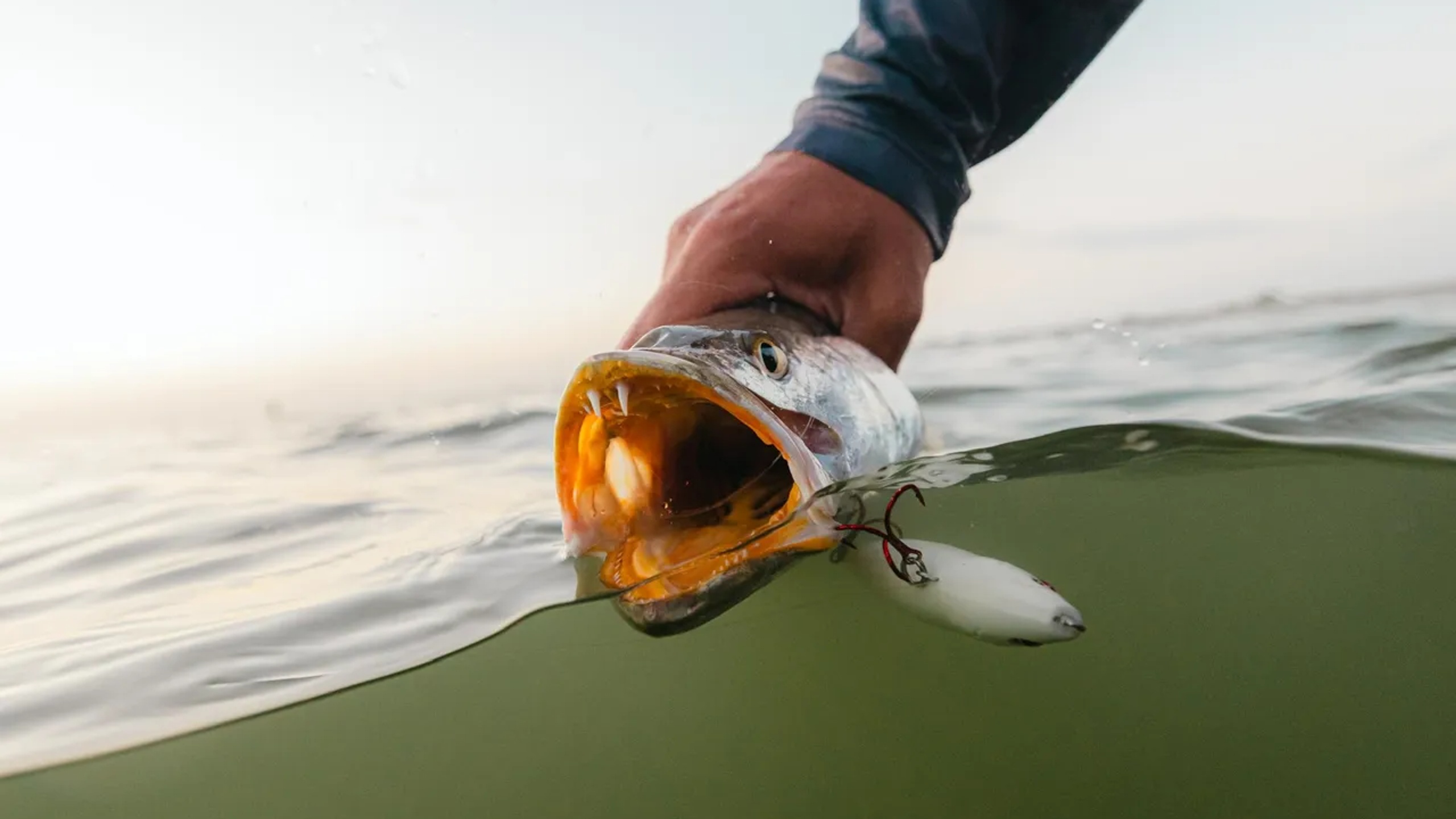 Ultimate Fishing for 24