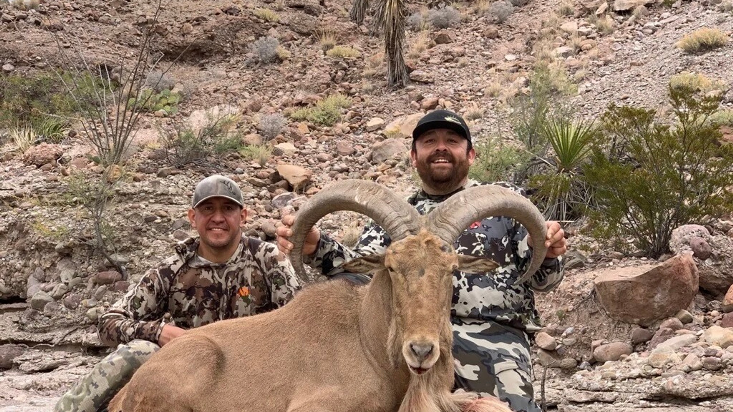Far West Aoudad Solo Hunt