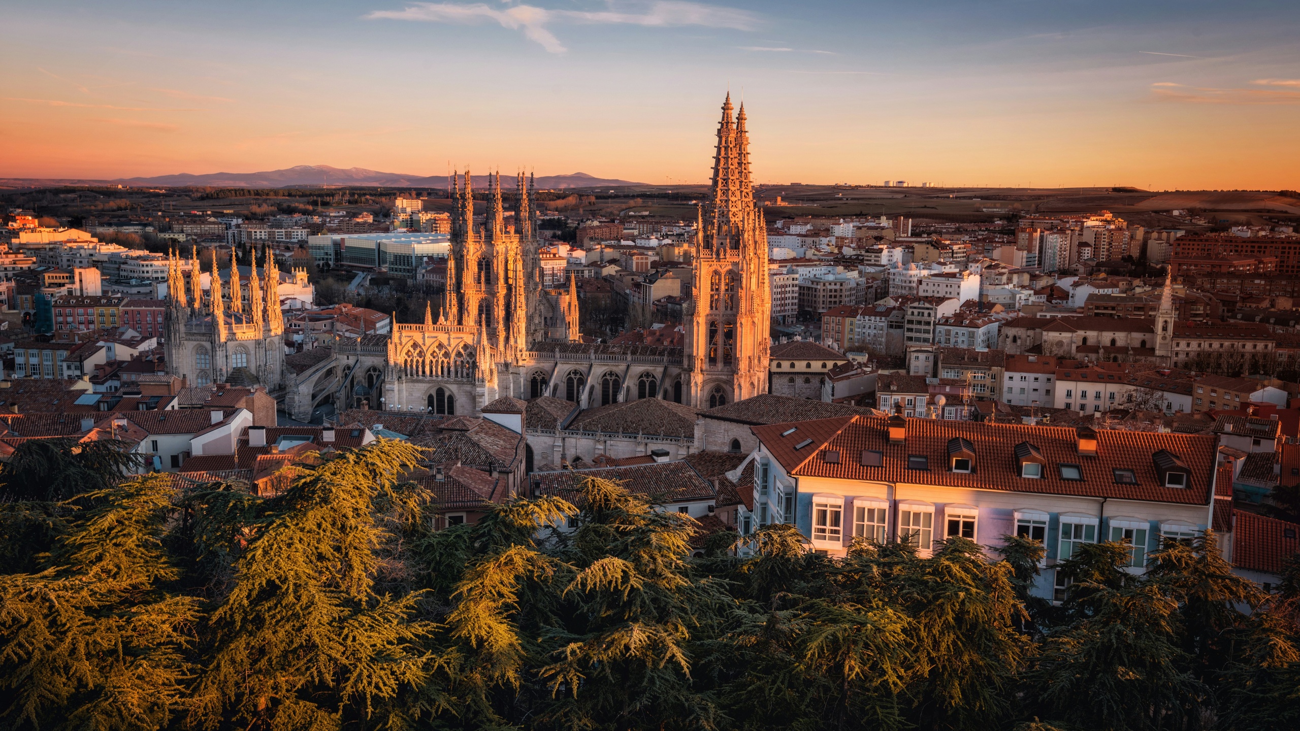 Barcelona Gourmet Immersion: Luxury, Culture & Cuisine for 4