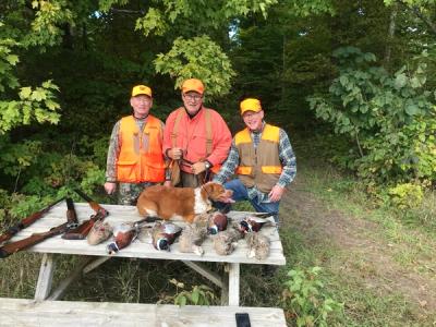 Michigan Pheasant Hunt for 4