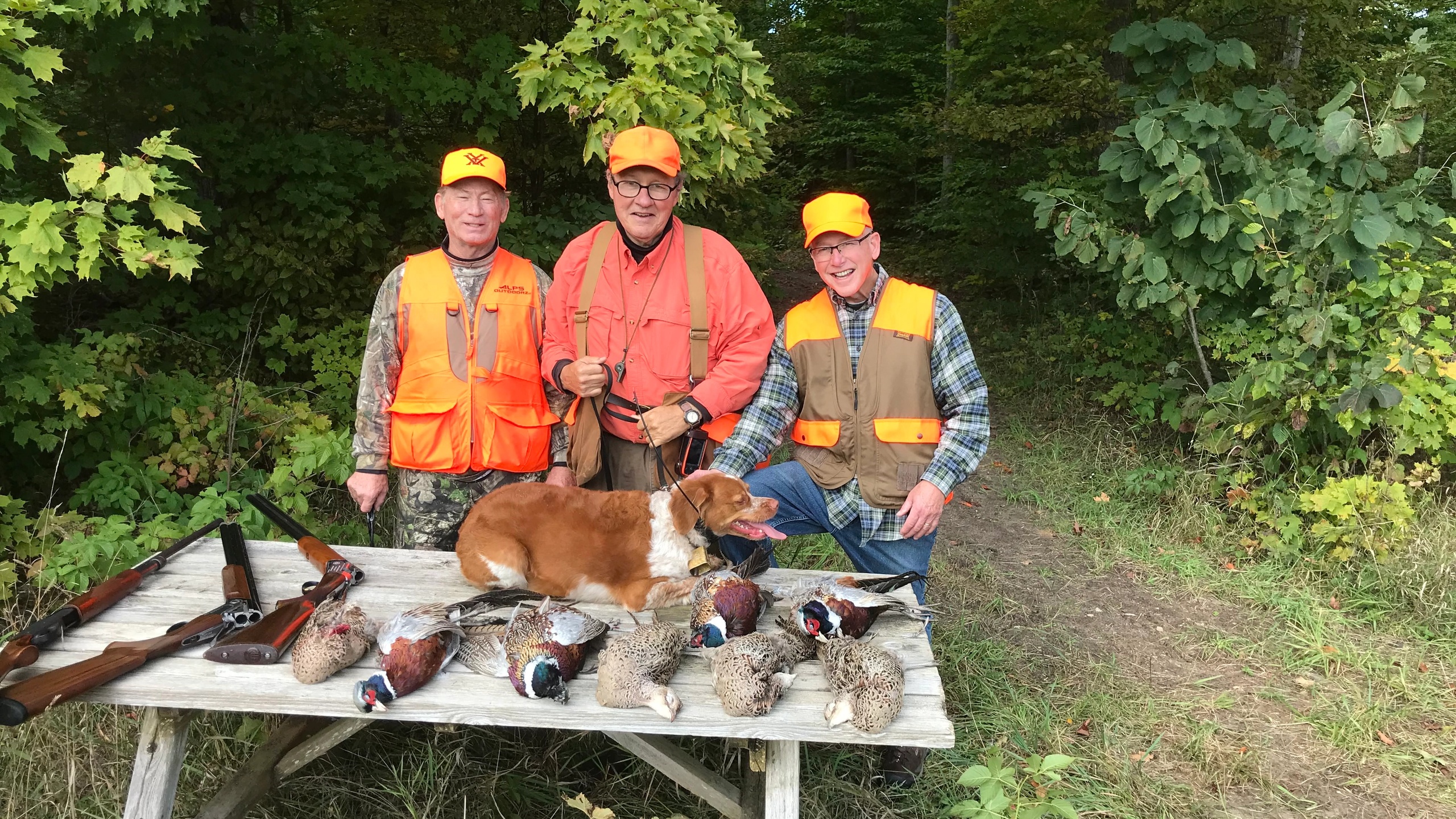 Michigan Pheasant Hunt for 4