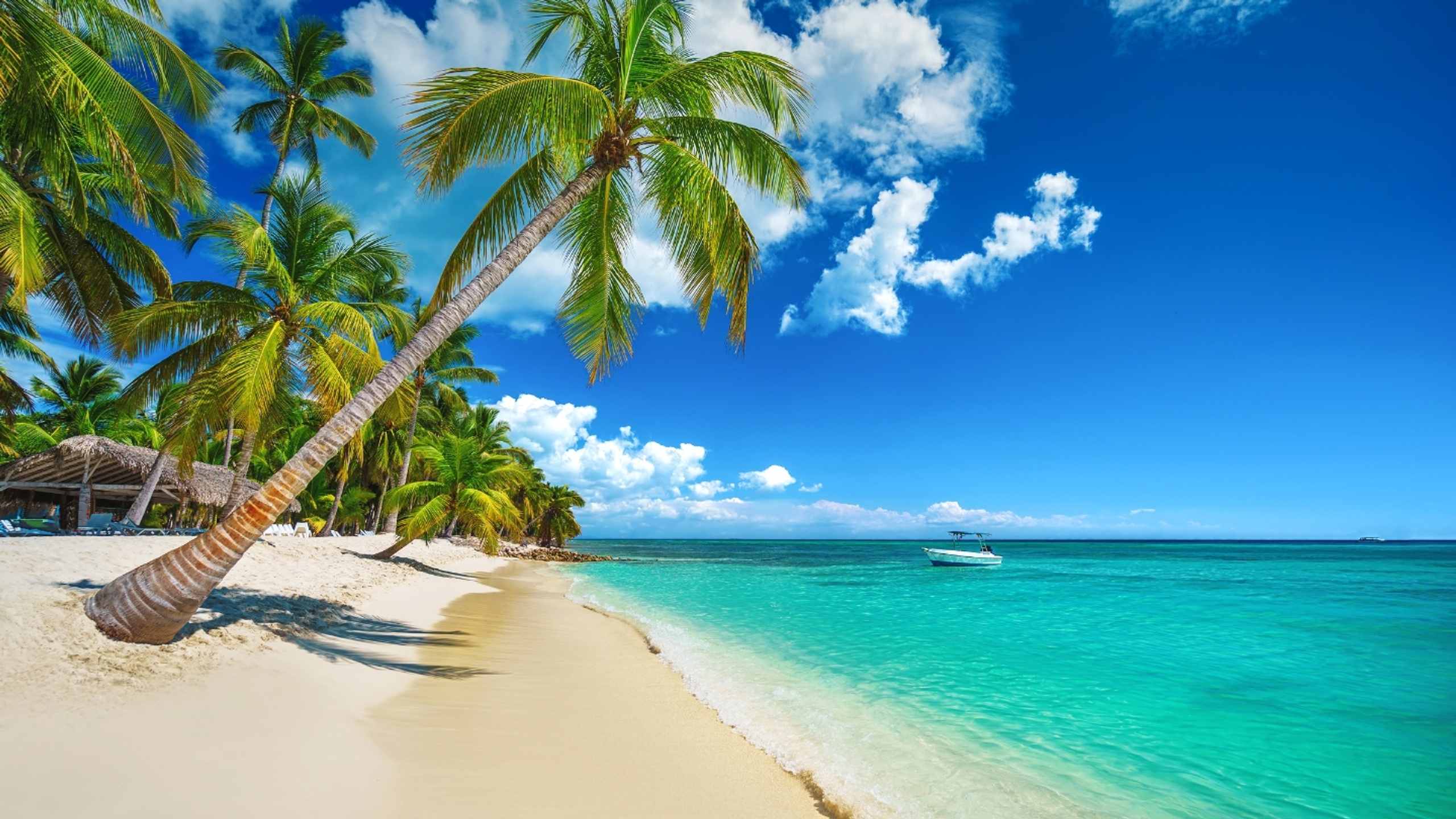 All Inclusive Playa Bavaro Punta Cana In A Family Duplex For Up To (4).2