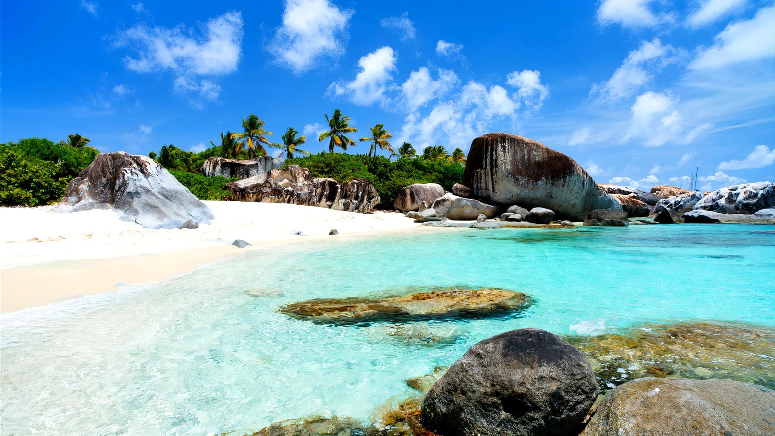 61d48badb38c0 Bliss Bvi Header
