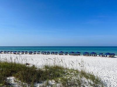 Serene Seacrest Beach 30A