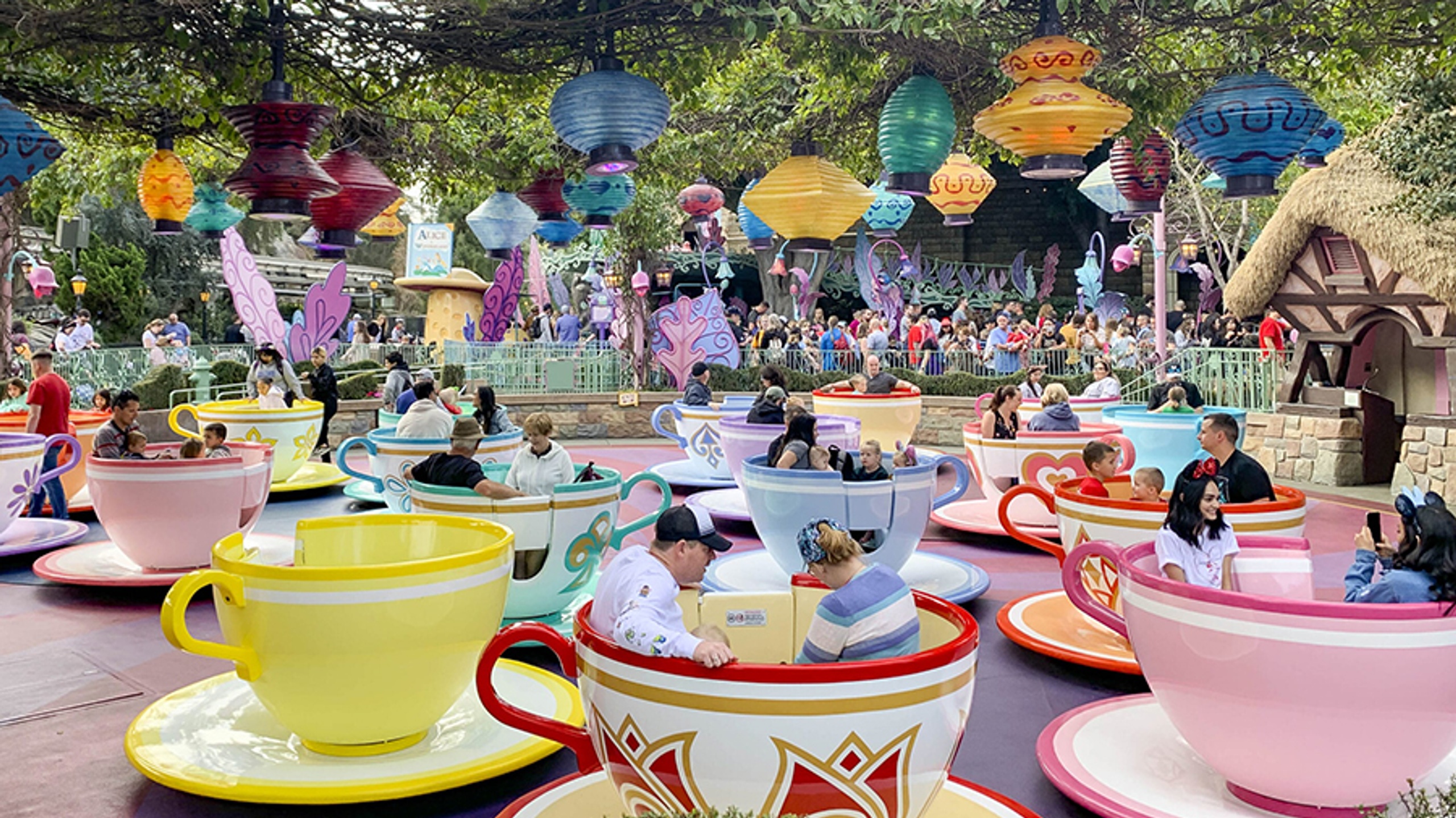 Disneyland Rides Teacups
