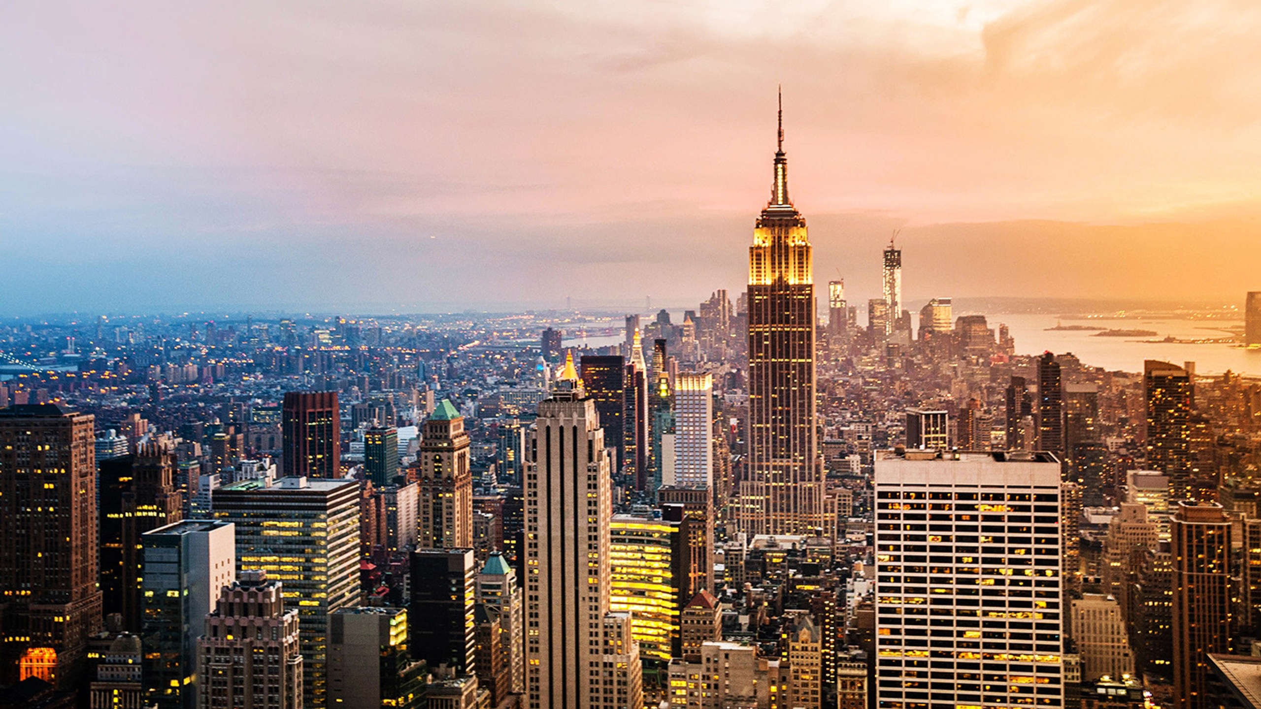 NY 1 (2)