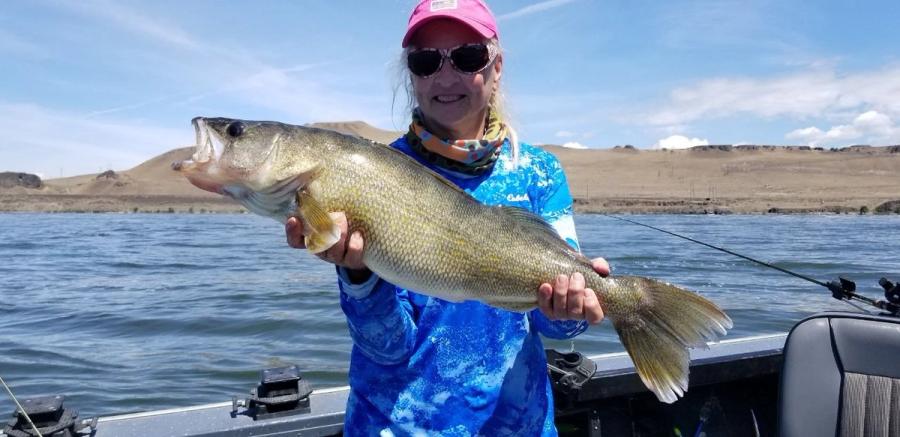 Angler holding a summer walleye on the Columbia River
