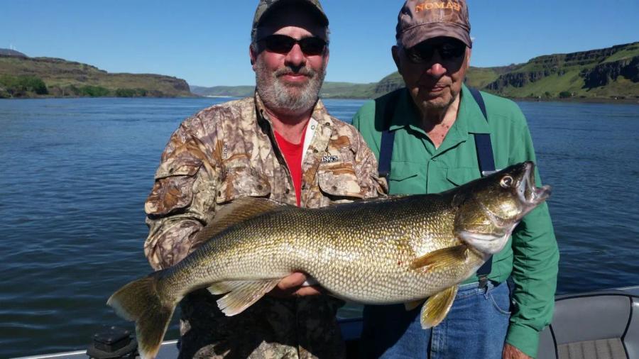 Anglers holding a trophy walleye