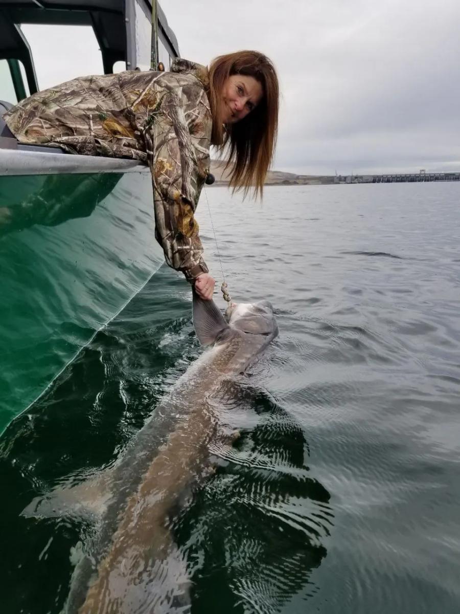 Angler releasing a sturgeon