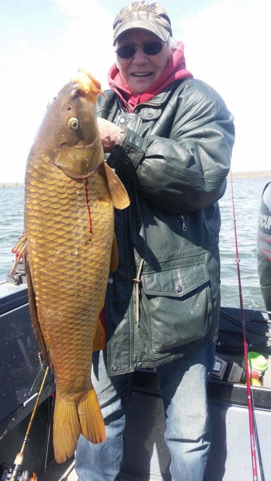 Angler holding a common carp on the Columbia River