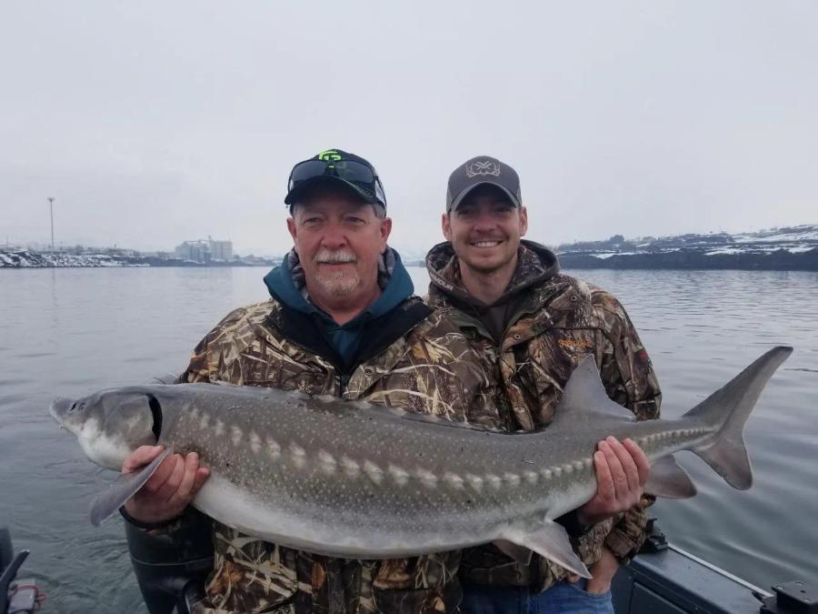 Two anglers holding a large sturgeon