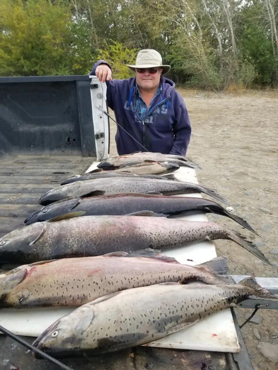 Salmon catch laid out after fishing