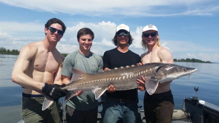 Group of anglers with a large sturgeon
