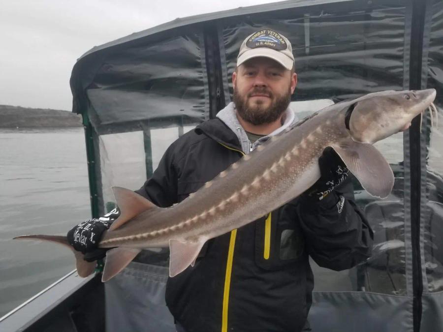 Angler holding a large sturgeon