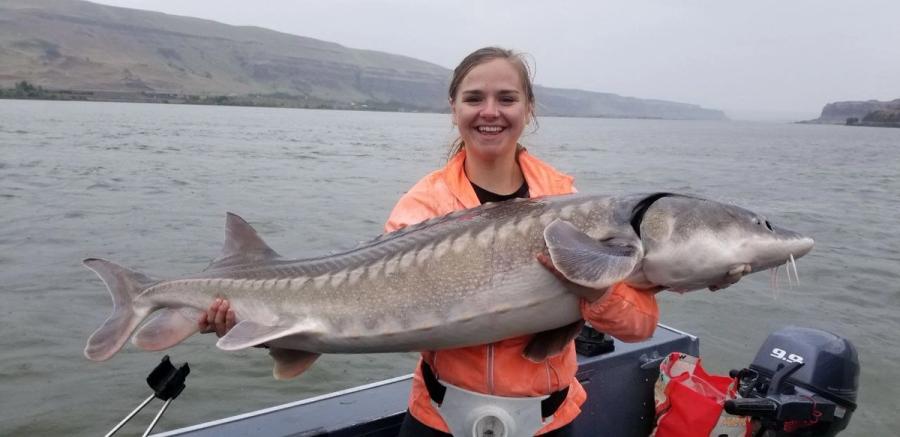 Girl holding a keeper sturgeon on the Columbia River