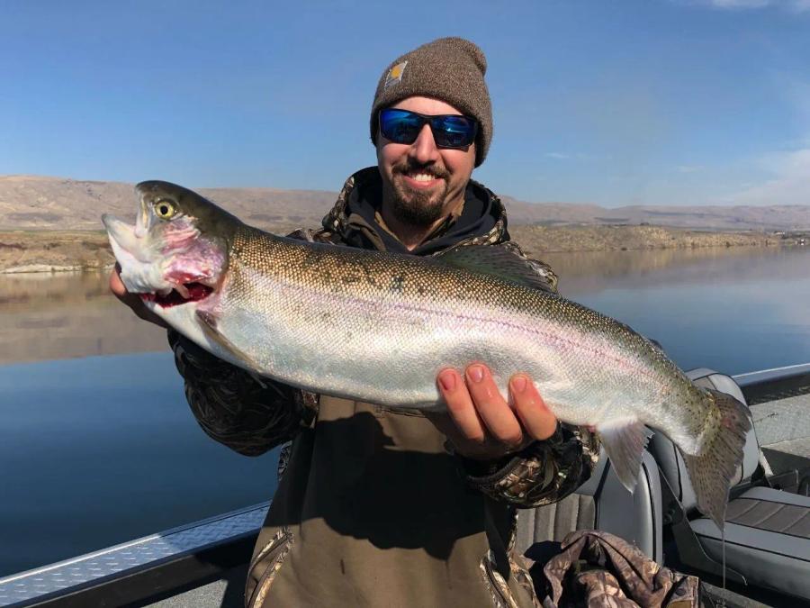 Angler holding a Columbia River steelhead