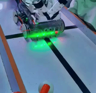 Indigenous Fruit Harvesting Robot