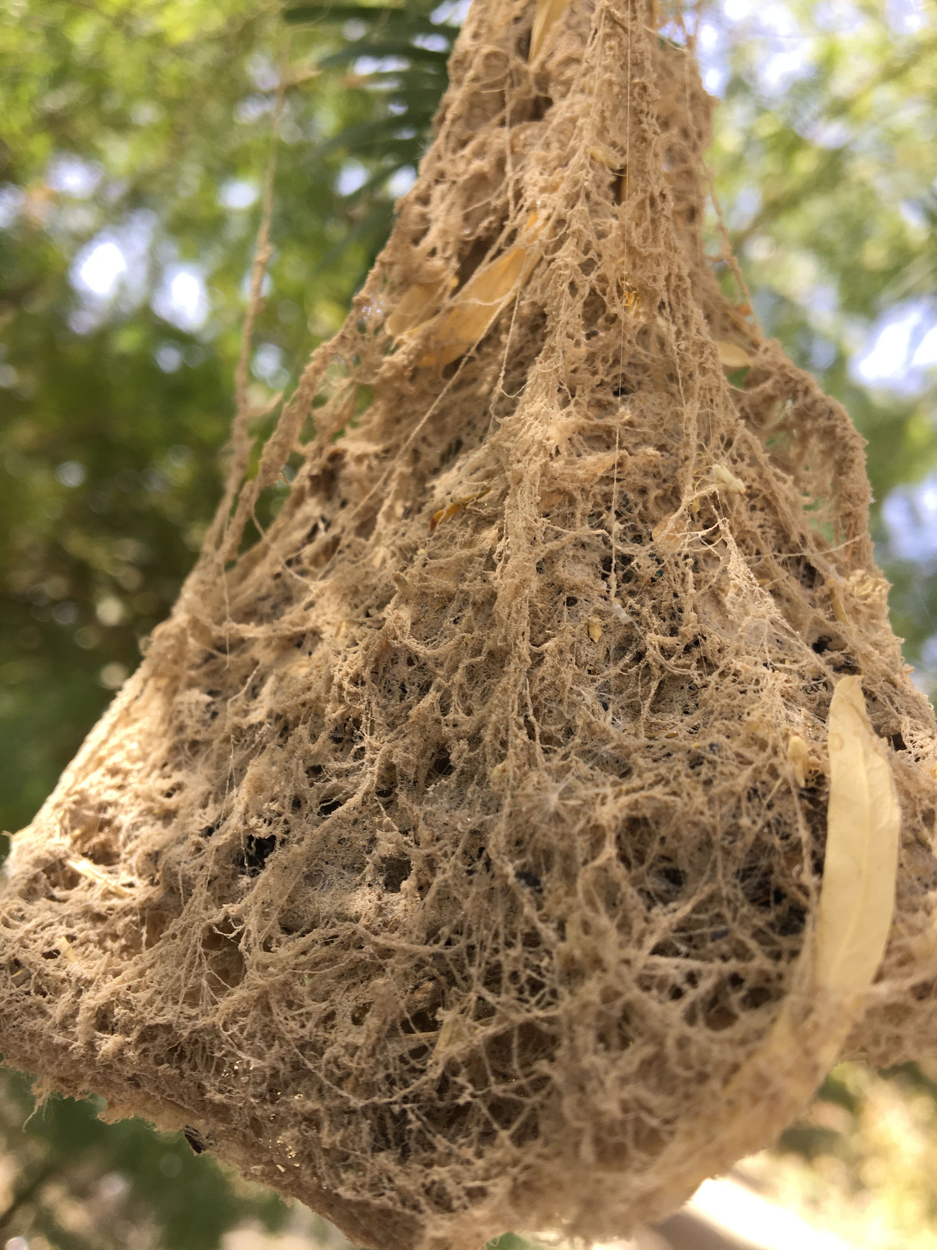 Architecture, Abandoned