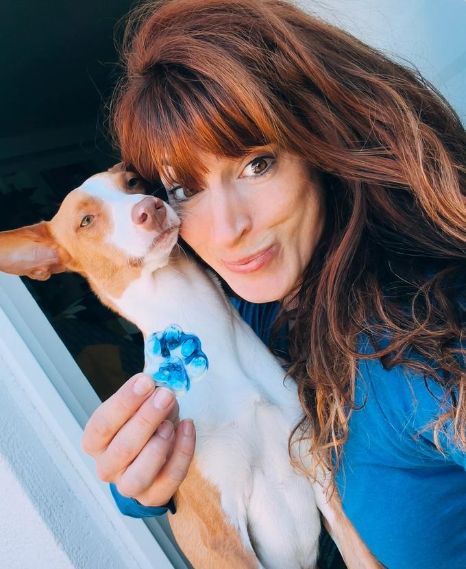 Cajita Turrón — pack de primer lanzamiento con vela whipped cream azul, huellas de perro en cera y caramelos.