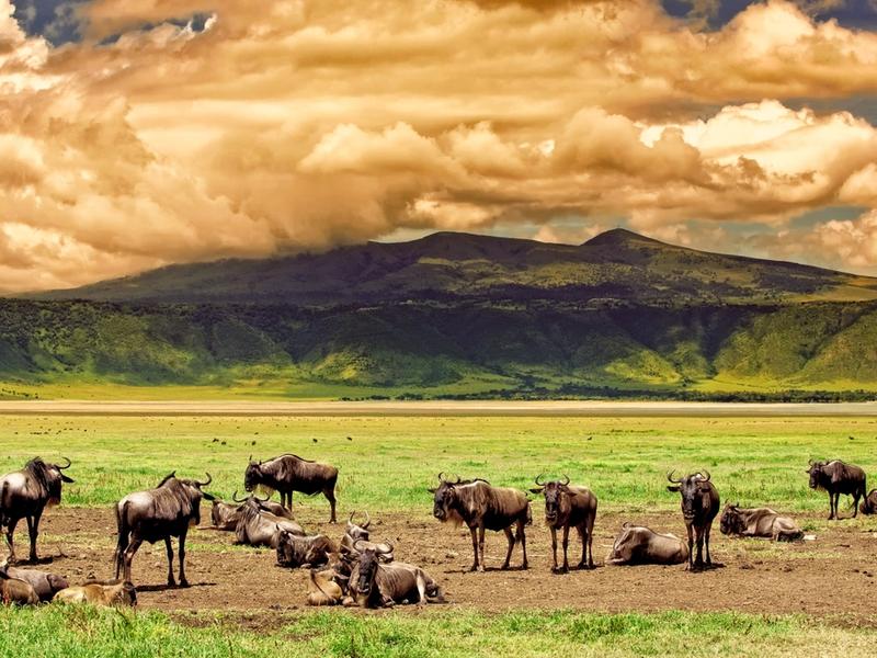 17 Best Animal Sanctuaries In Kenya