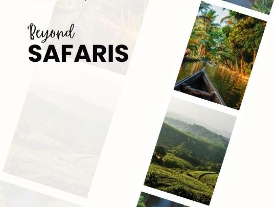 Beyond the Safari