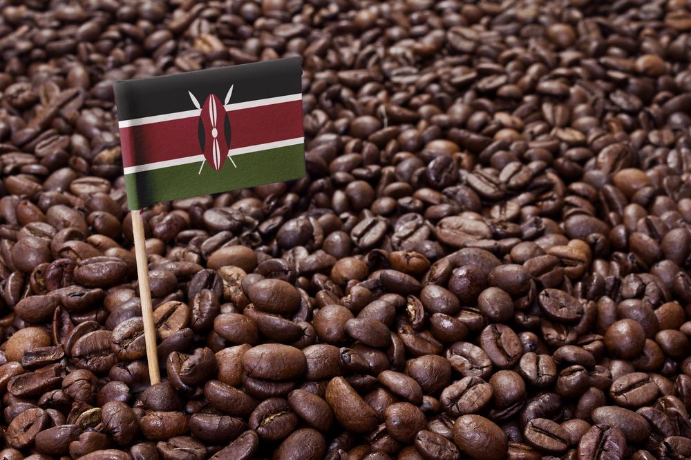 Kenya’s Coffee Culture