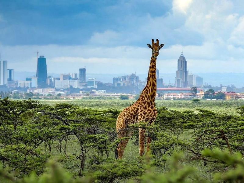 Nairobi, Kenya – A City From Ashes