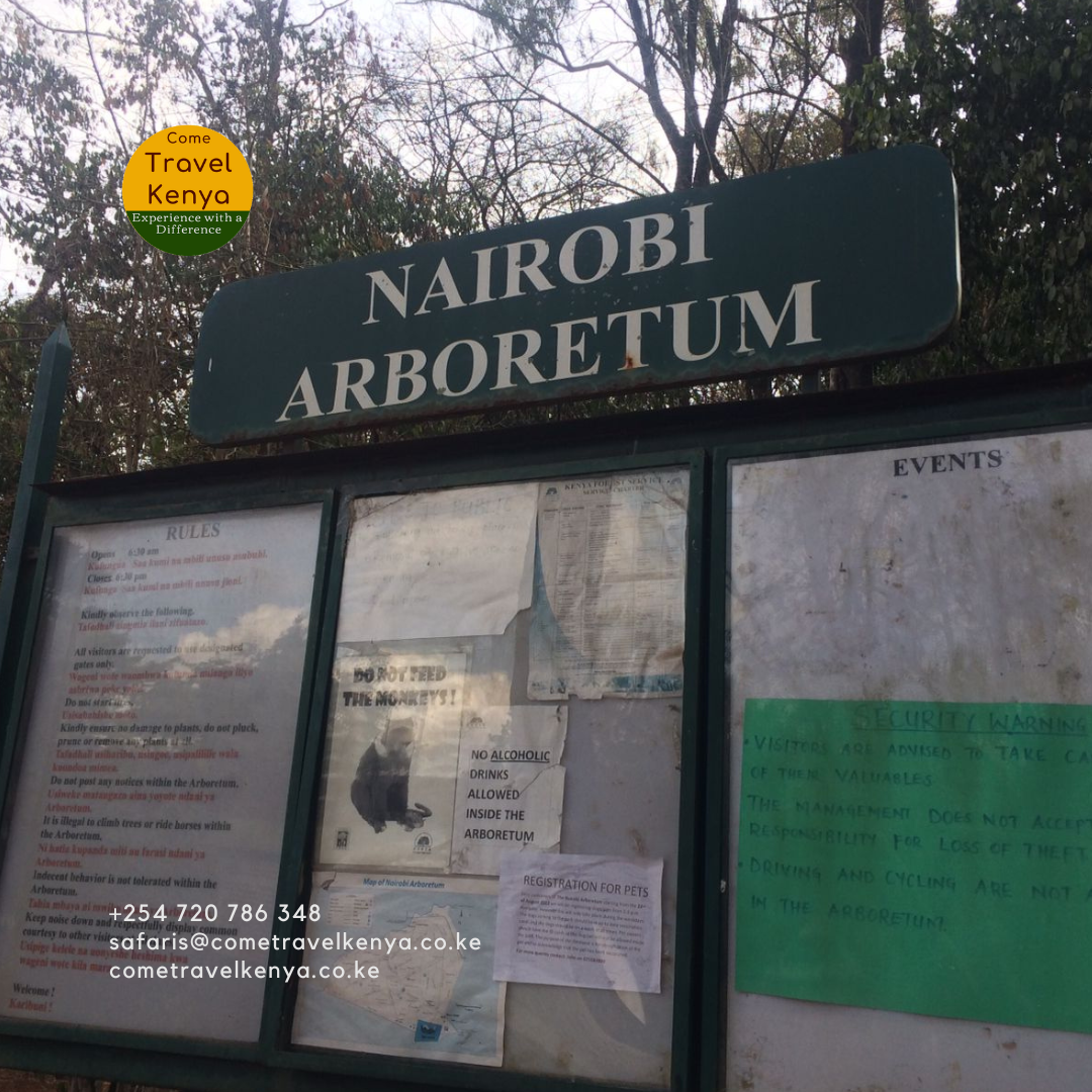 The Nairobi Arboretum